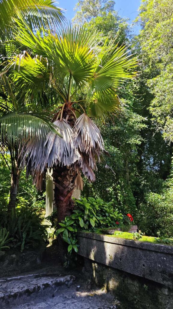 ogrody Pena, Sintra jednodniowy plan zwiedzania